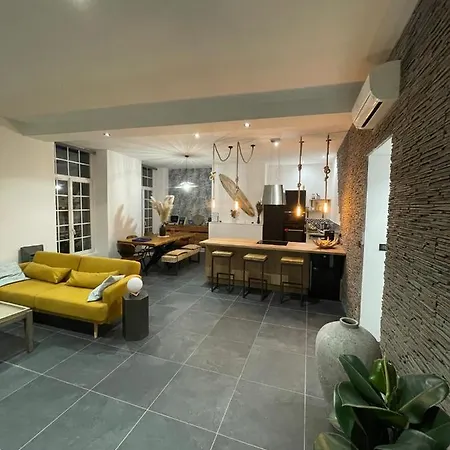 110m2 Terrasse Climatise Quartier Medieval Apartment Clermont-Ferrand